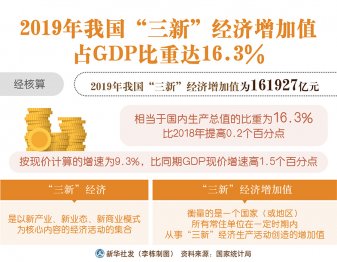 2019年我國“三新”經(jīng)濟增加值占GDP比重達16.3%